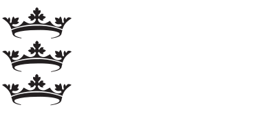 Hull Fostering logo